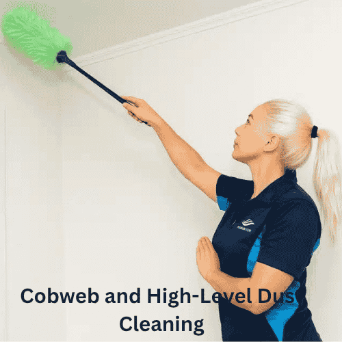 Cobweb and High-Level Dust Cleaning